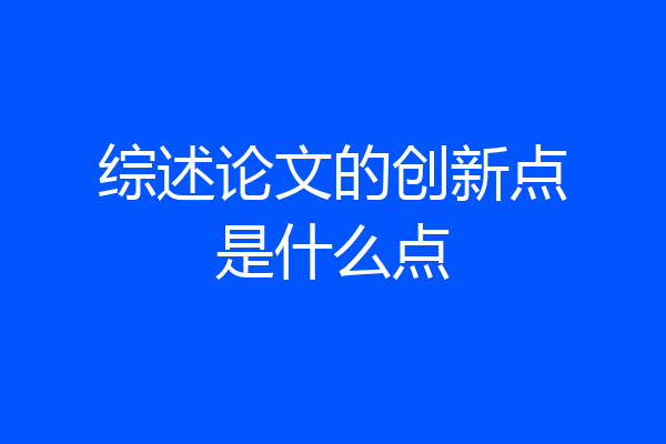 综述论文的创新点是什么点