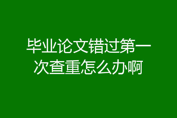 毕业论文错过第一次查重怎么办啊