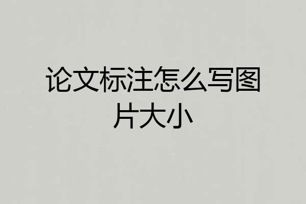 论文标注怎么写图片大小