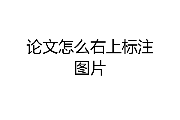 论文怎么右上标注图片