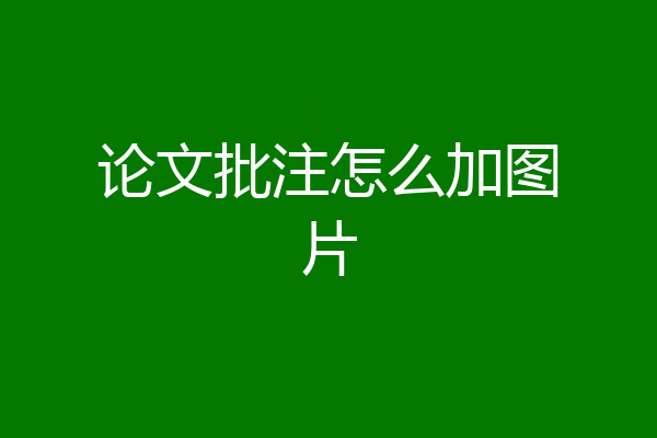 论文批注怎么加图片