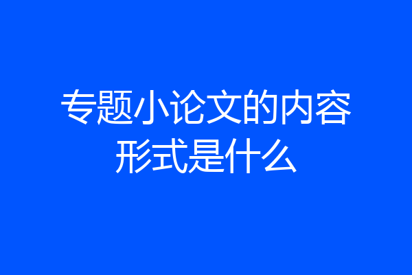 专题小论文的内容形式是什么