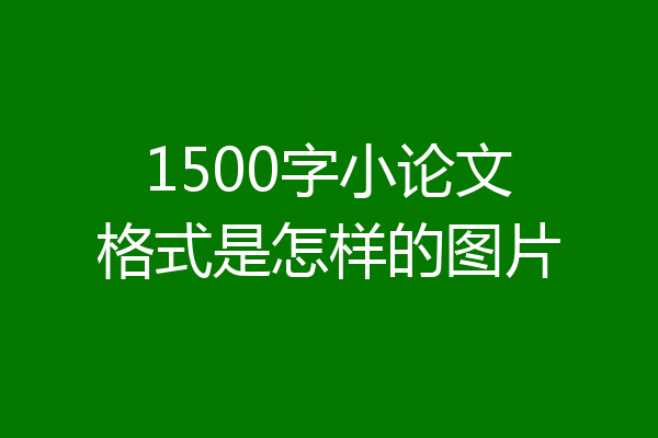 1500字小论文格式是怎样的图片