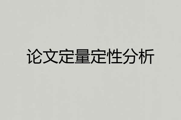论文定量定性分析