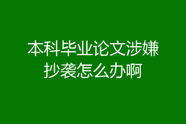 本科毕业论文涉嫌抄袭怎么办啊