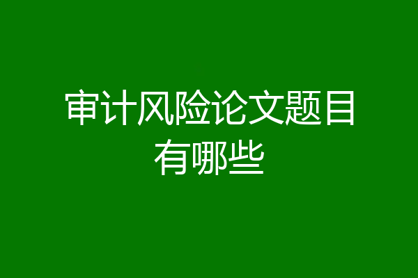 审计风险论文题目有哪些