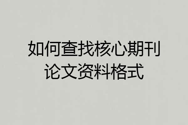 如何查找核心期刊论文资料格式