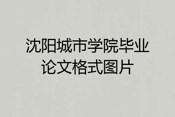 沈阳城市学院毕业论文格式图片