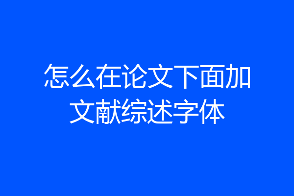 怎么在论文下面加文献综述字体