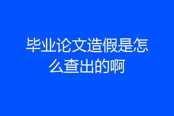 毕业论文造假是怎么查出的啊