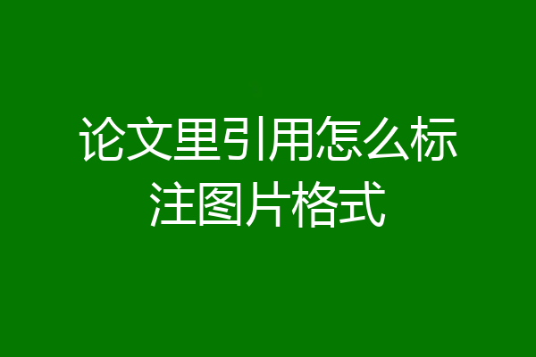 论文里引用怎么标注图片格式