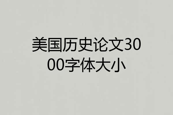 美国历史论文3000字体大小
