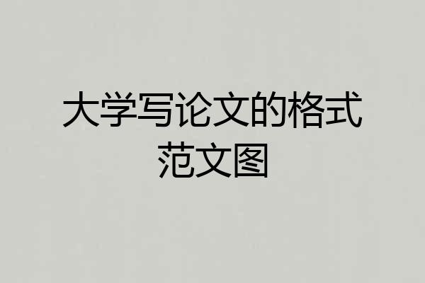 大学写论文的格式范文图