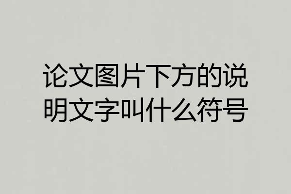 论文图片下方的说明文字叫什么符号