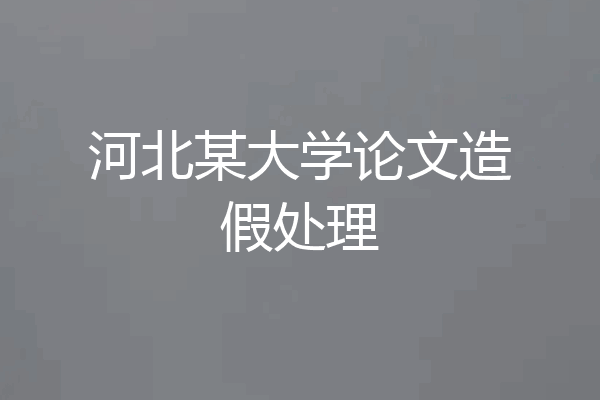 河北某大学论文造假处理