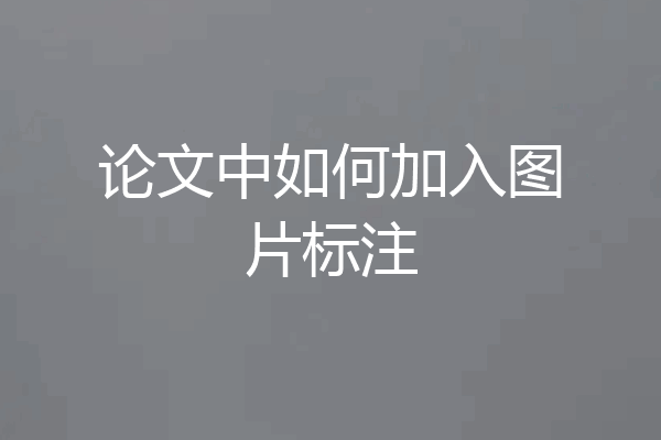 论文中如何加入图片标注