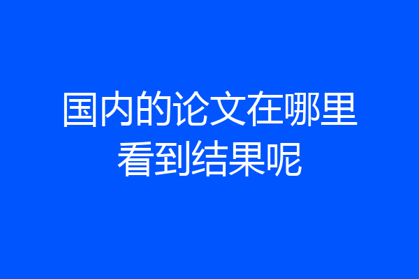 国内的论文在哪里看到结果呢