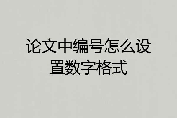 论文中编号怎么设置数字格式