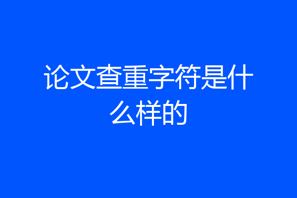 论文查重字符是什么样的