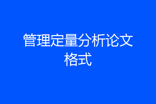 管理定量分析论文格式