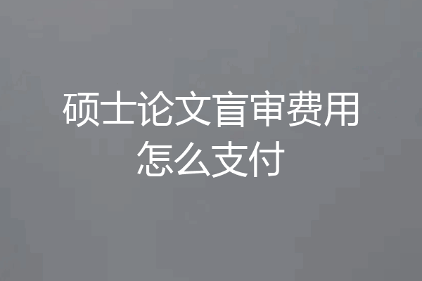 硕士论文盲审费用怎么支付