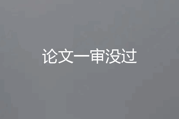 论文一审没过