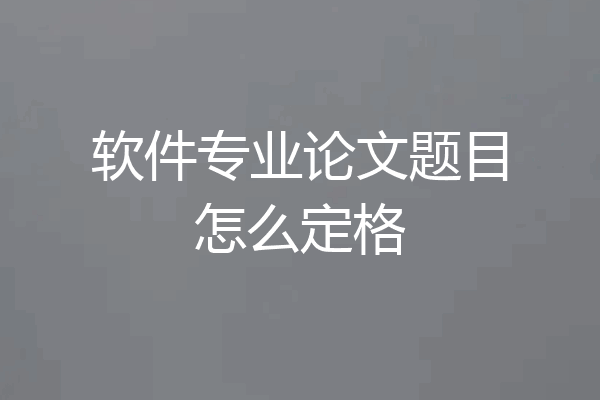 软件专业论文题目怎么定格