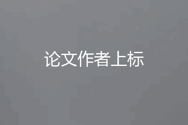 论文作者上标