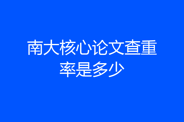 南大核心论文查重率是多少