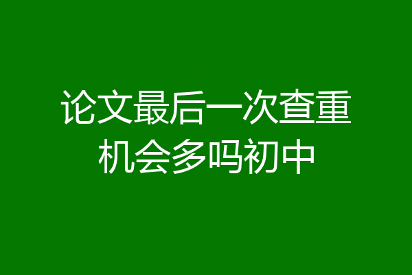 论文最后一次查重机会多吗初中