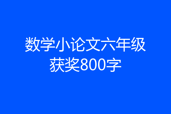 数学小论文六年级获奖800字