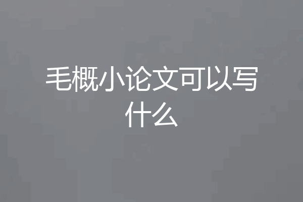 毛概小论文可以写什么