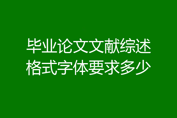 毕业论文文献综述格式字体要求多少