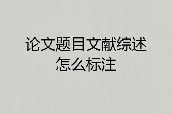 论文题目文献综述怎么标注