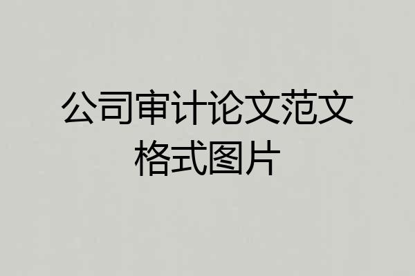 公司审计论文范文格式图片