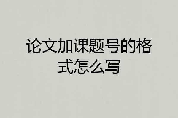 论文加课题号的格式怎么写