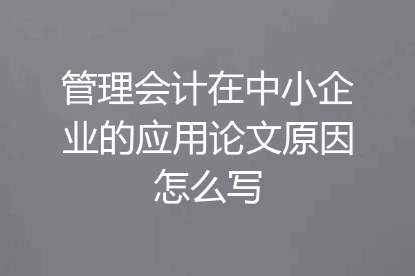 管理会计在中小企业的应用论文原因怎么写