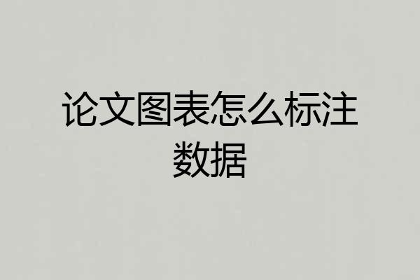 论文图表怎么标注数据