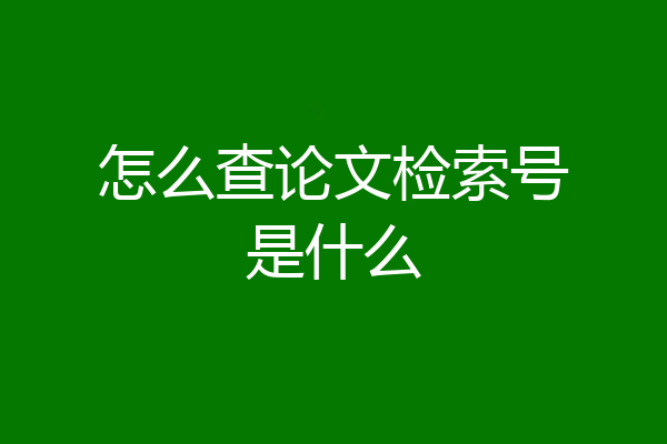 怎么查论文检索号是什么