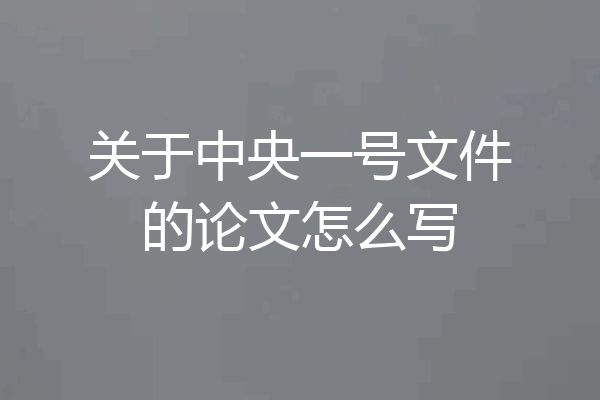 关于中央一号文件的论文怎么写