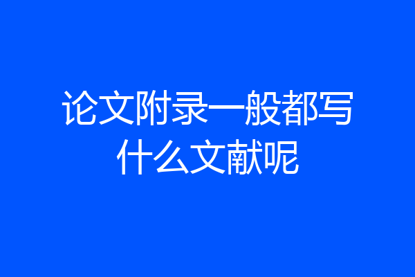 论文附录一般都写什么文献呢