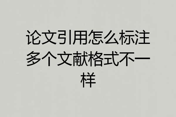 论文引用怎么标注多个文献格式不一样