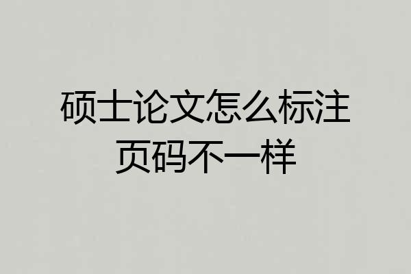 硕士论文怎么标注页码不一样