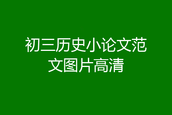 初三历史小论文范文图片高清