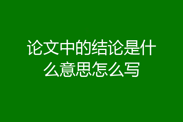 论文中的结论是什么意思怎么写
