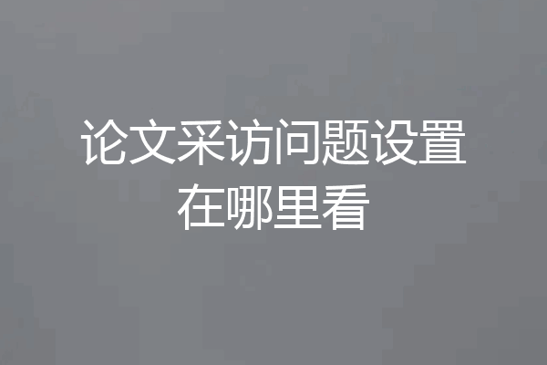 论文采访问题设置在哪里看