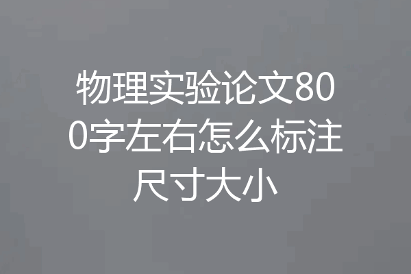 物理实验论文800字左右怎么标注尺寸大小