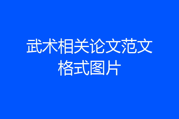 武术相关论文范文格式图片