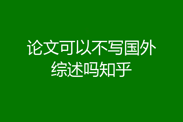 论文可以不写国外综述吗知乎