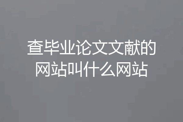 查毕业论文文献的网站叫什么网站